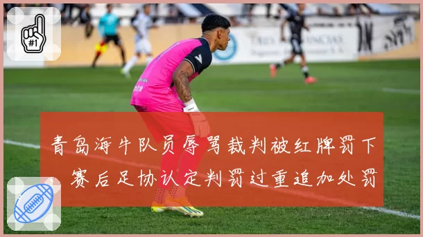 青岛海牛队员辱骂裁判被红牌罚下，赛后足协认定判罚过重追加处罚